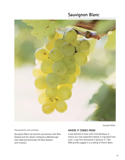 Sauvignon Blanc